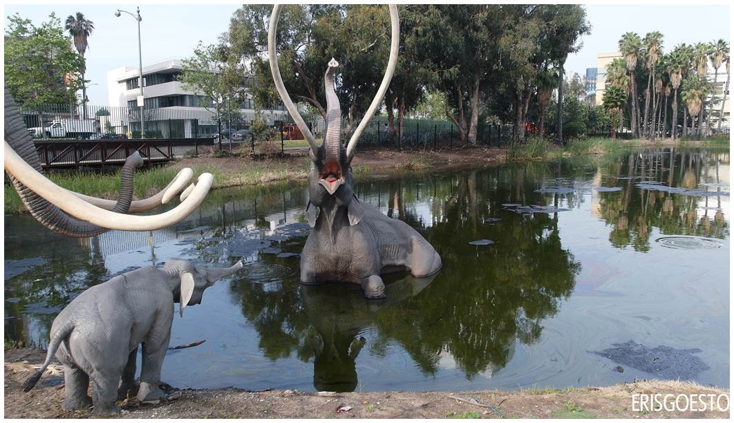 La Brea Tar Pits, Los Angeles