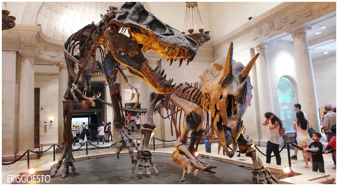 Los Angeles Natural History Museum