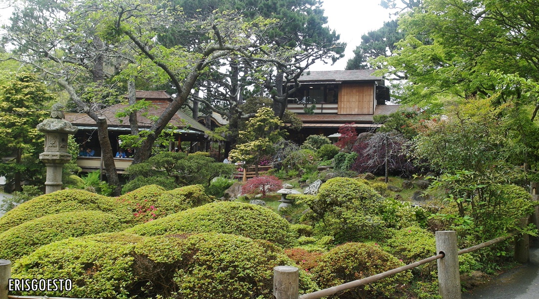 Japanese Garden, Golden Gate Park San Francisco