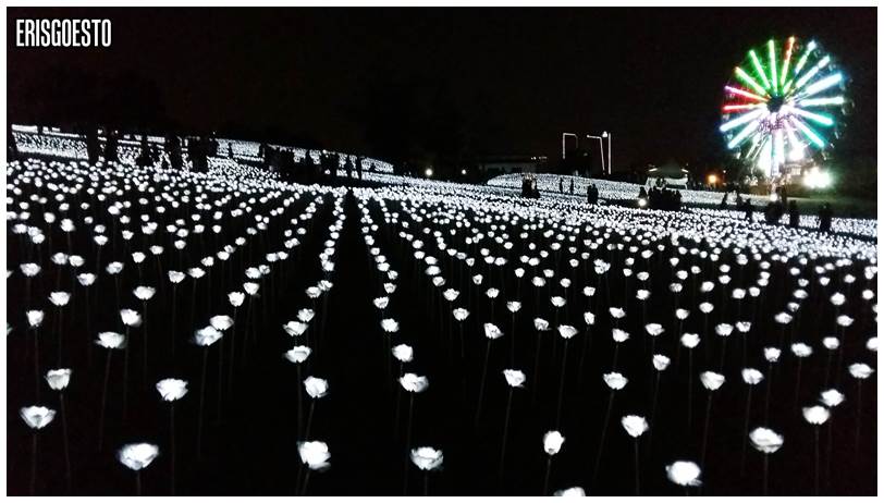Light Sensation @ MAEPS Serdang – 30,000 LED Roses