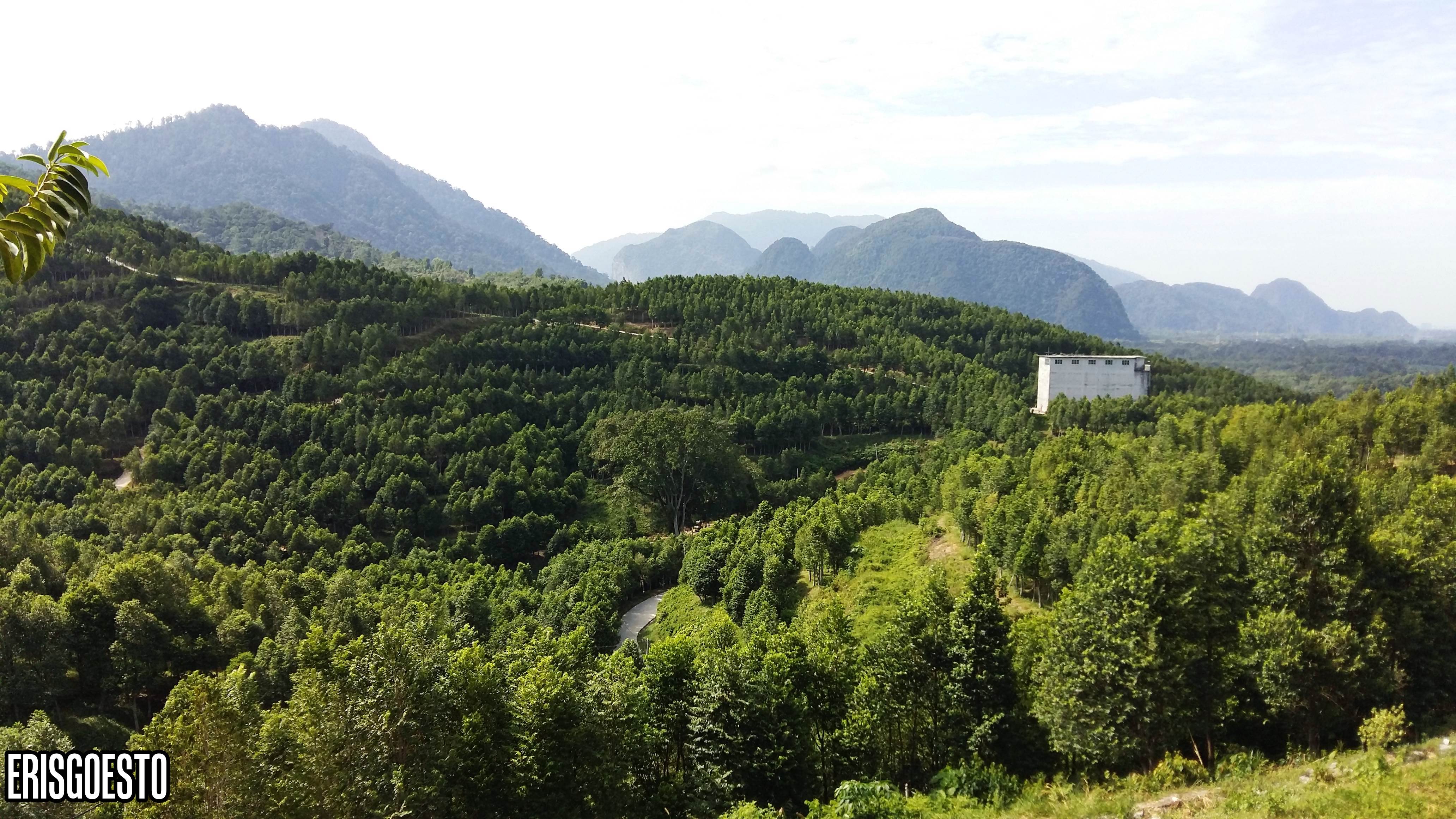HOGA – Gaharu Tea Valley Agarwood Plantation, Gopeng