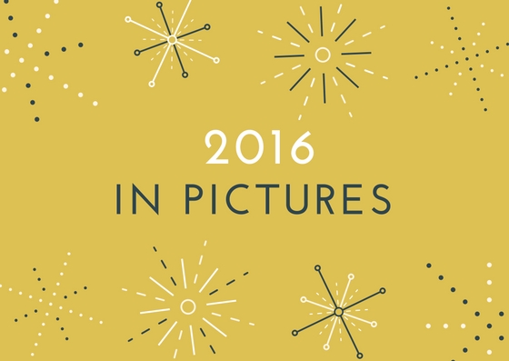 2016 in Pictures