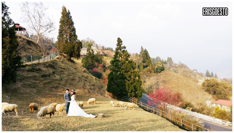 Fluffy Sheep & Beautiful Mountain Views – Cing Jing Farm, Taichung Taiwan