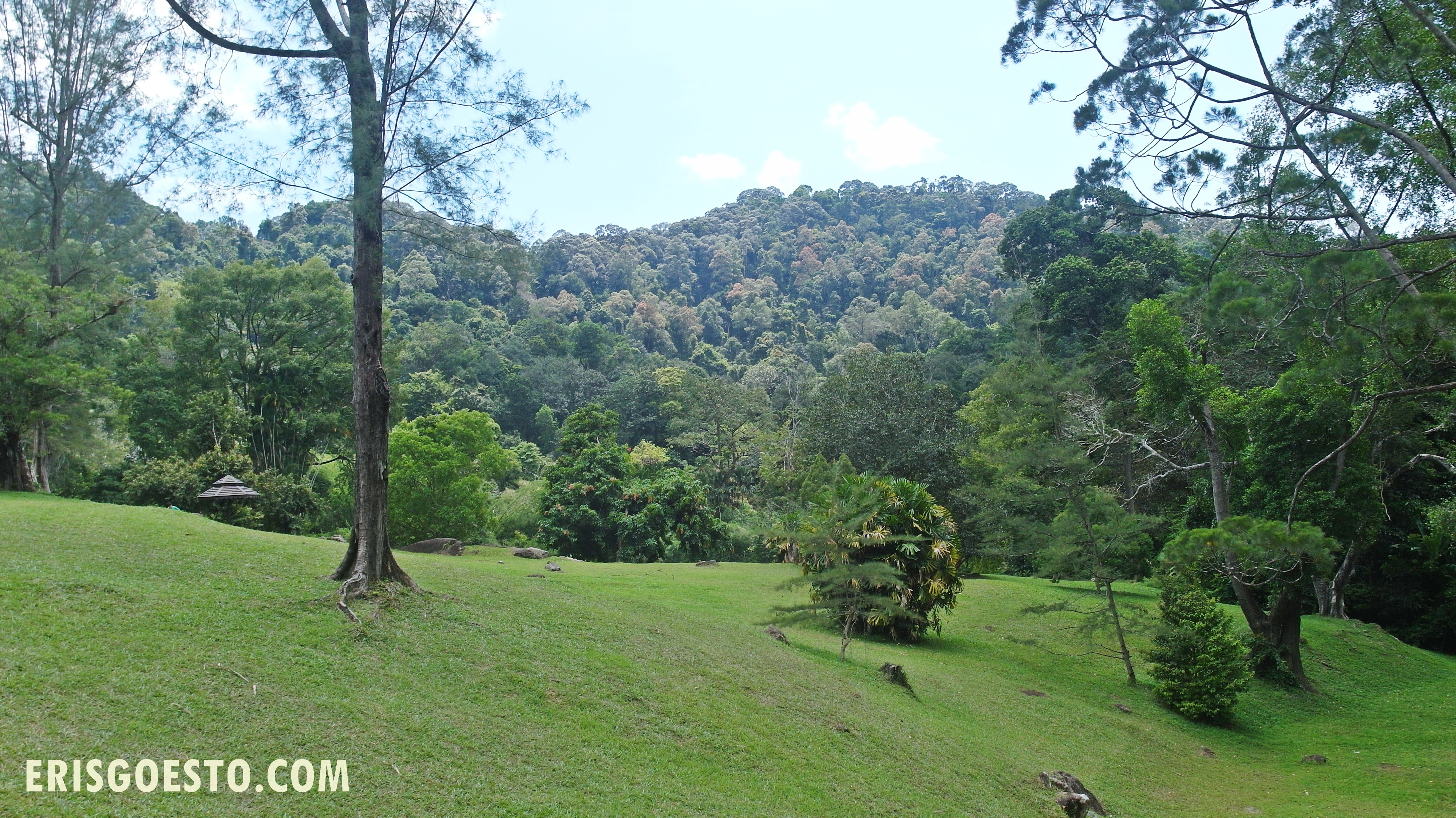 Travelogue Penang: Penang Botanic Gardens