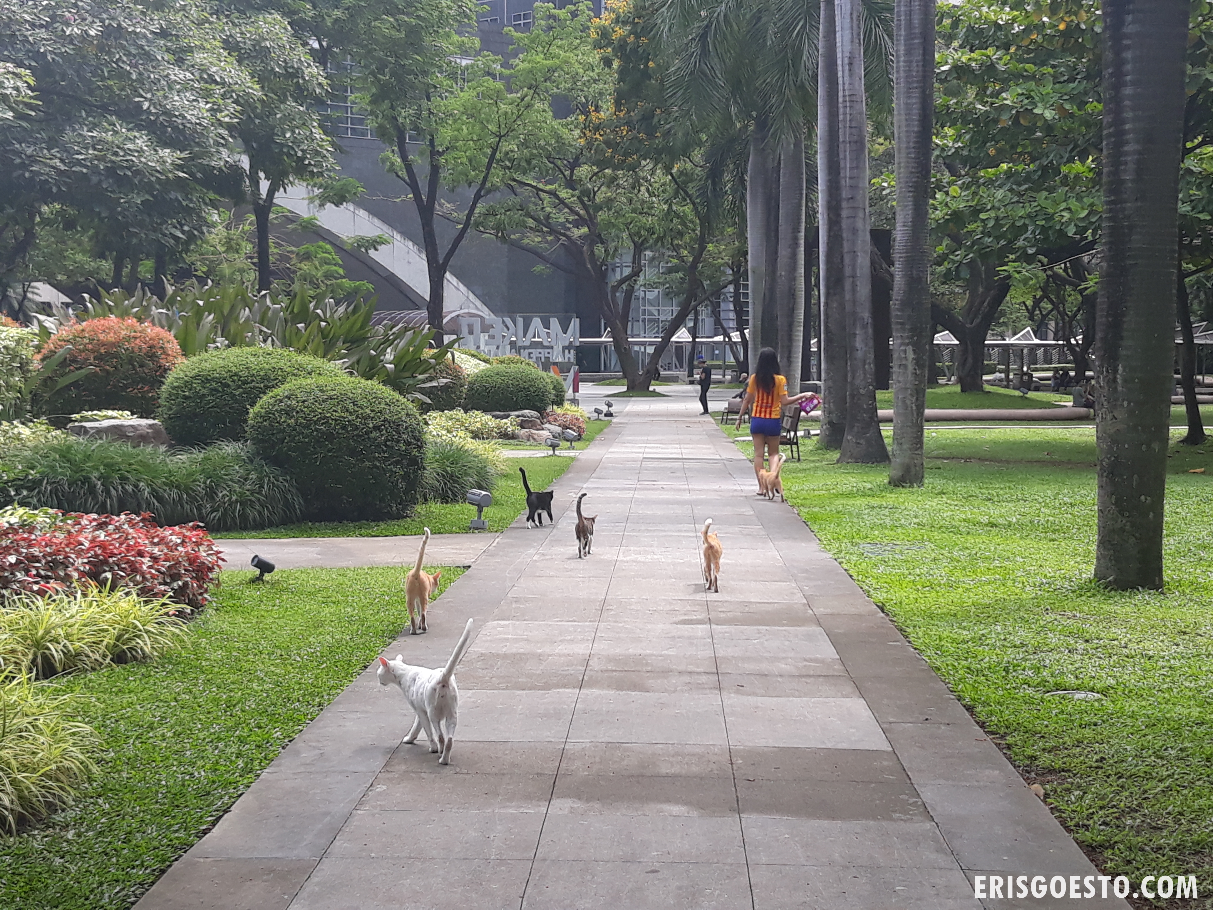 Travelogue: We Met A Magical Cat Lady @ Ayala Triangle Gardens, Makati City