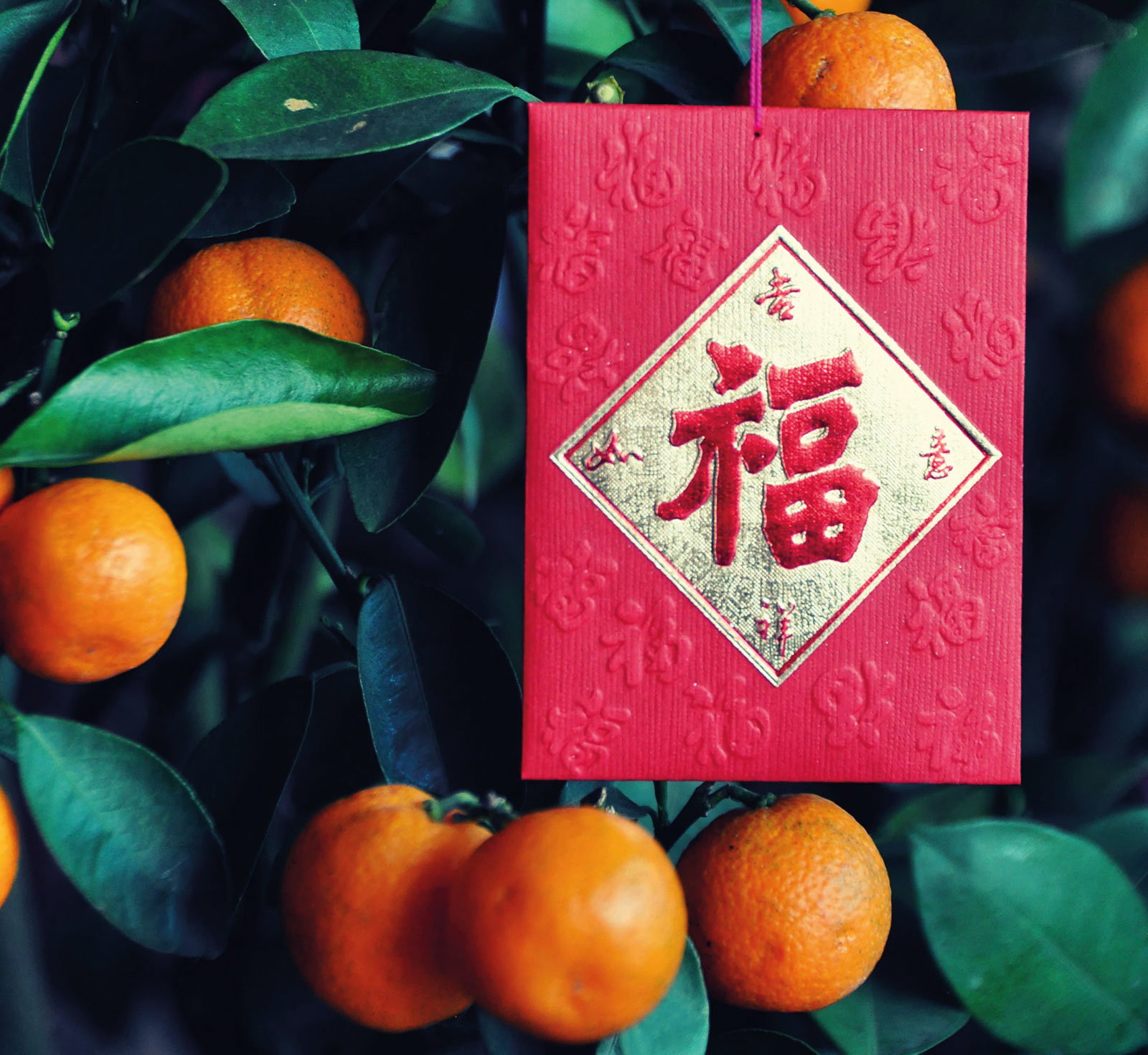 Celebrating Chinese New Year In The Middle Of A Pandemic