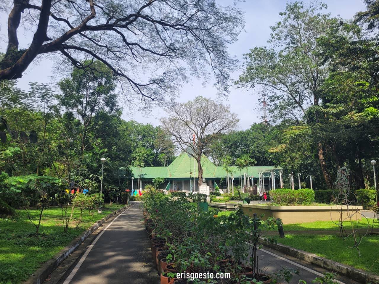 Exploring the Ninoy Aquino Parks and Wildlife Centre, Quezon City