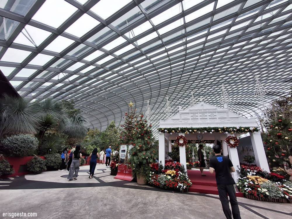 Exploring the World’s Largest Glass Greenhouse @ Flower Dome, Gardens by the Bay, Singapore